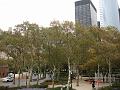 NJ_NY 060